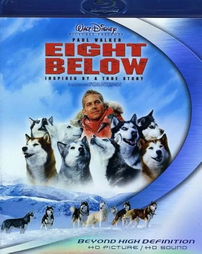 eight below