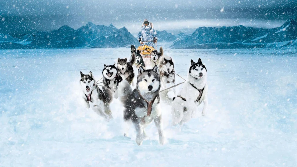 film eight below